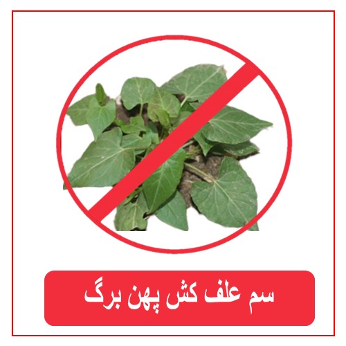 سم علف کش پهن برگ